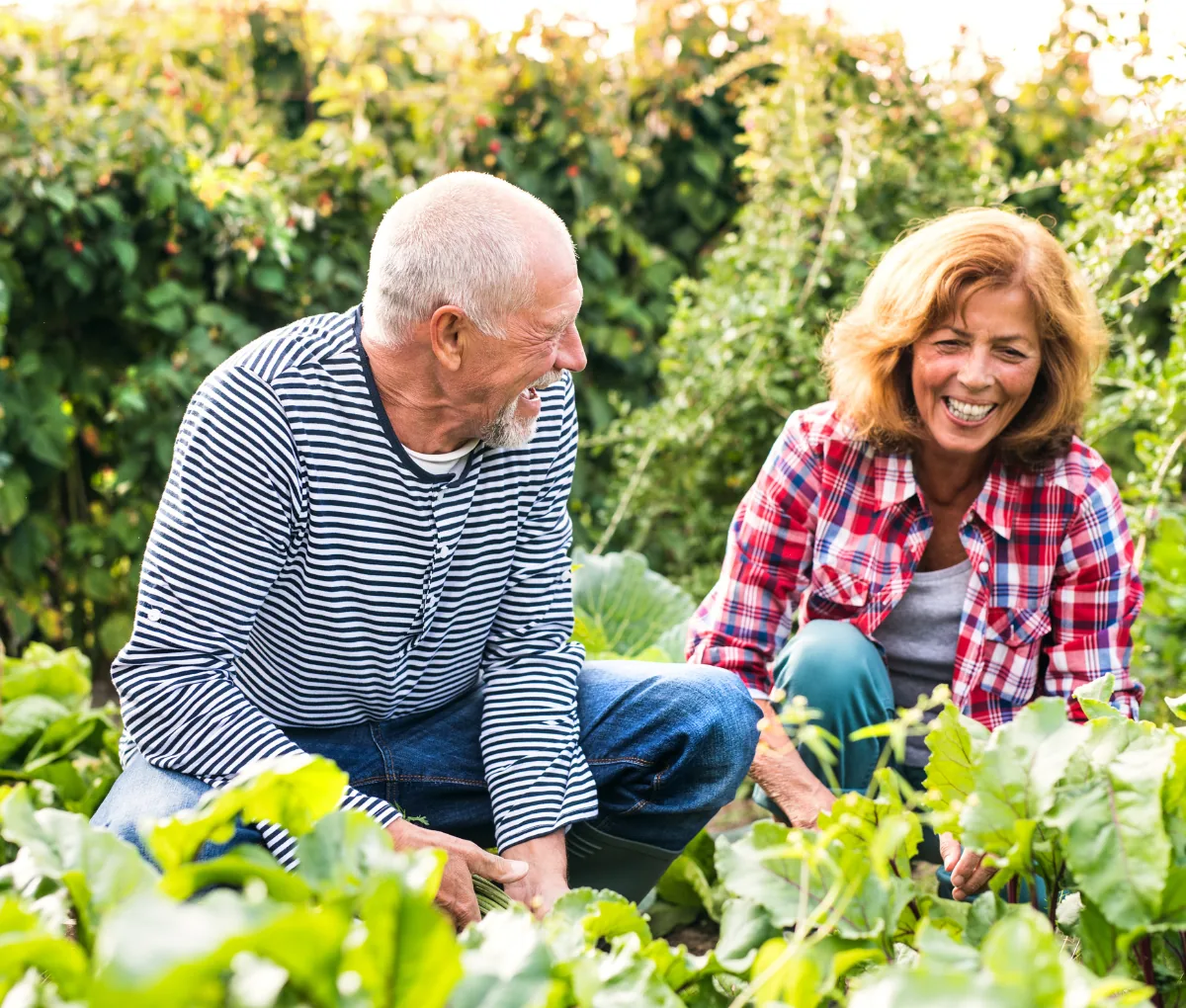 Content couple secure with their deposits growing